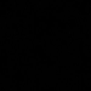 Meet your Posher, Jackson